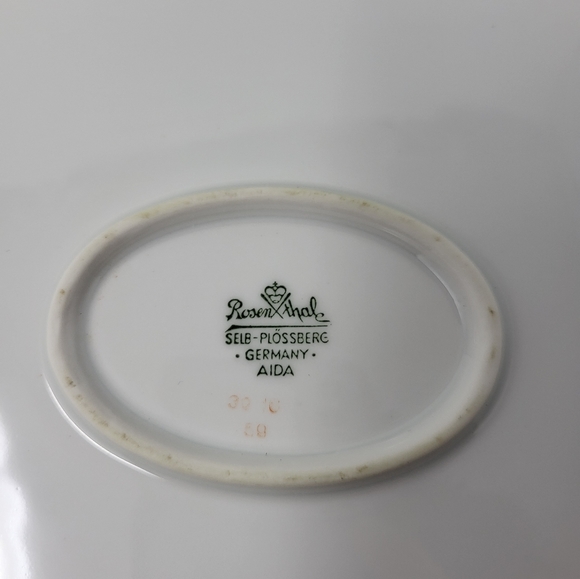Rosenthal Germany Pine Needles Selb-Plossberg Aida Large Oval 15" Platter Dish - Picture 4 of 6